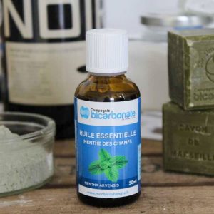 Bio Essentiële olie van Akkermunt – munt – vrije ademhaling – sfeer brander – bad 50 ml